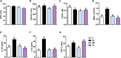 Metabolic Alternations During Gestation in Dezhou Donkeys and the Link to the Gut Microbiota